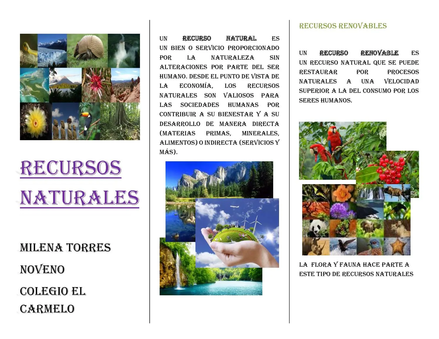 La flora y la fauna como recursos naturales no renovables - Que son y cuáles son los recursos naturales renovables y no renovables la flora y la fauna son recursos naturales no renovables - Que son y cuáles son los recursos naturales renovables y no renovables
