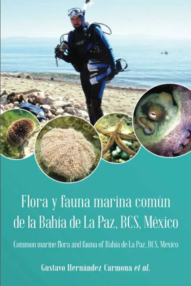 flora y fauna de la paz bcs - Qué tipo de vegetación hay en La Paz Baja California Sur