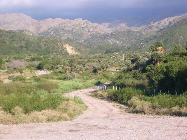 Flora y fauna de los comechingones - Qué zona habitan los comechingones flora y fauna de los comechingones - Qué zona habitan los comechingones