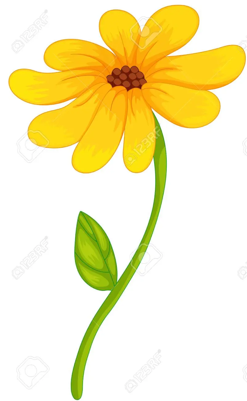 una flor amarilla - Quién narra la historia de una flor amarilla